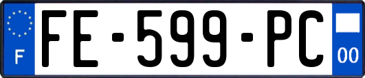 FE-599-PC