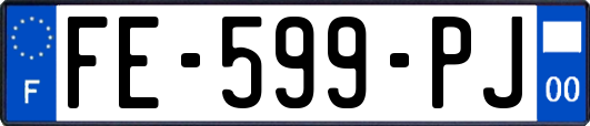 FE-599-PJ
