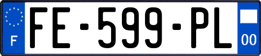 FE-599-PL