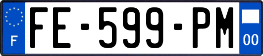 FE-599-PM