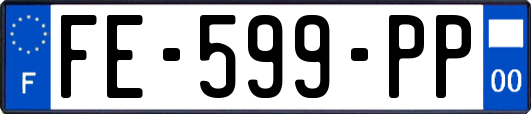 FE-599-PP
