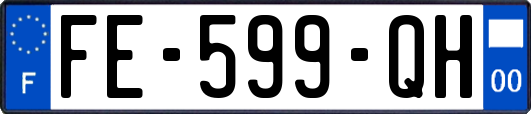 FE-599-QH