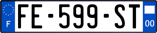 FE-599-ST