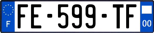 FE-599-TF