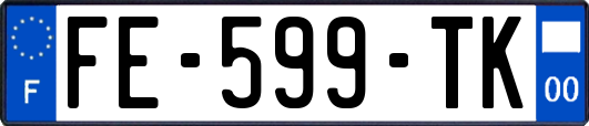 FE-599-TK