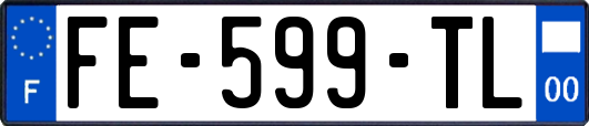 FE-599-TL