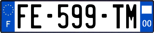 FE-599-TM