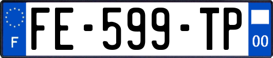 FE-599-TP