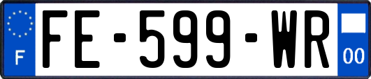 FE-599-WR