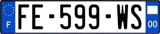 FE-599-WS