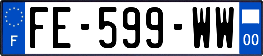 FE-599-WW