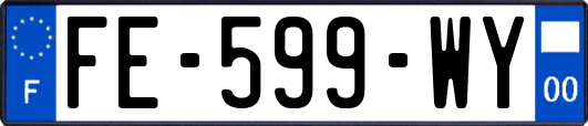 FE-599-WY