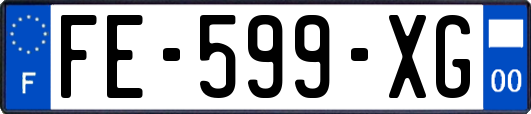 FE-599-XG