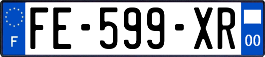 FE-599-XR
