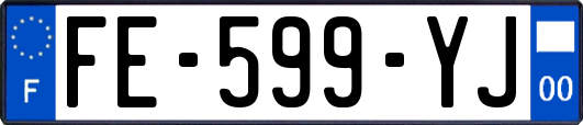 FE-599-YJ