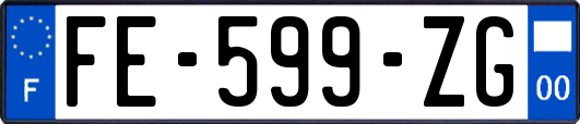 FE-599-ZG