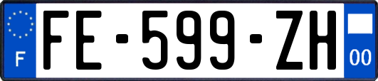 FE-599-ZH