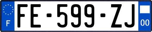 FE-599-ZJ