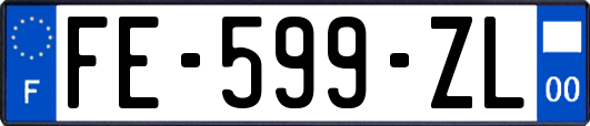 FE-599-ZL