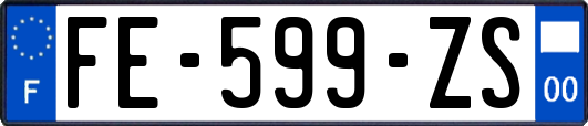 FE-599-ZS