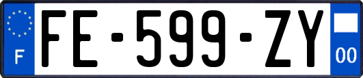 FE-599-ZY