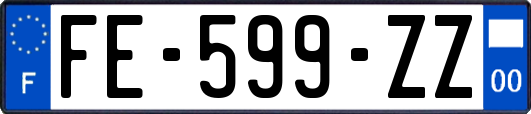 FE-599-ZZ