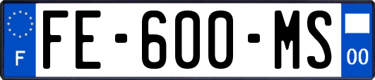 FE-600-MS