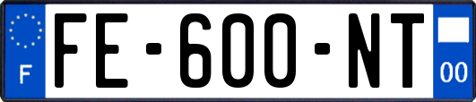 FE-600-NT