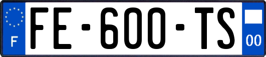 FE-600-TS