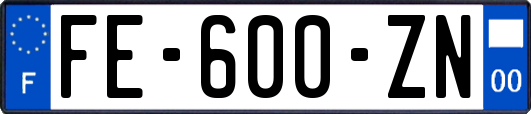 FE-600-ZN