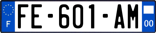 FE-601-AM