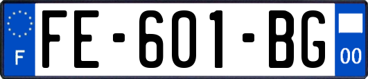 FE-601-BG