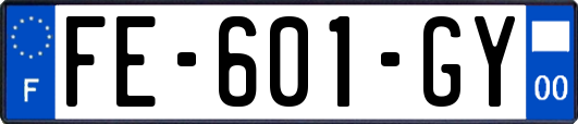 FE-601-GY