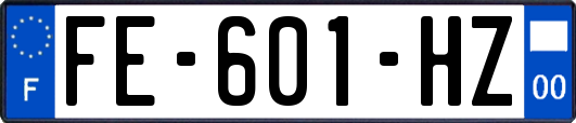 FE-601-HZ