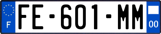 FE-601-MM