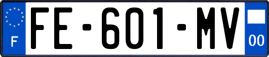 FE-601-MV