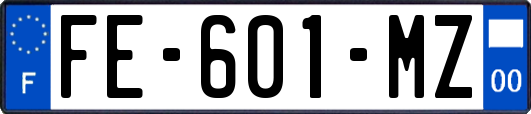FE-601-MZ