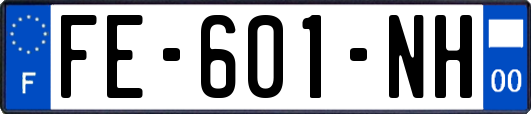 FE-601-NH