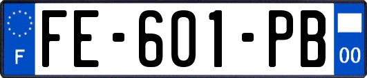 FE-601-PB