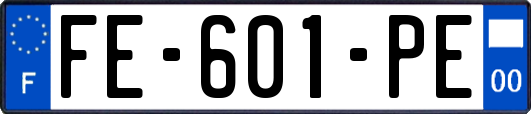 FE-601-PE