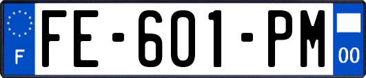 FE-601-PM