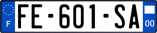 FE-601-SA