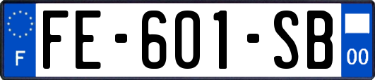 FE-601-SB
