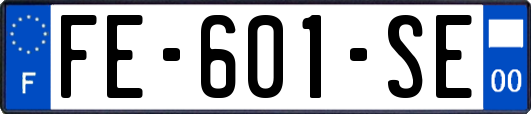 FE-601-SE