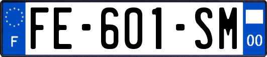 FE-601-SM