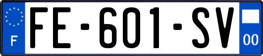 FE-601-SV