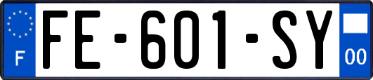 FE-601-SY