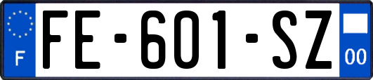 FE-601-SZ