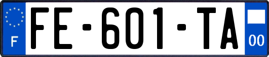 FE-601-TA