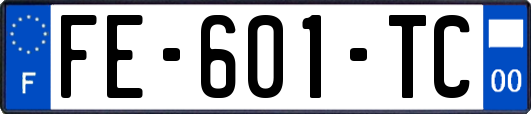 FE-601-TC